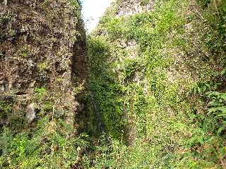 St-Paul - Ravine Bernica - Sentier vers le Bassin Pigeon