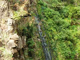 St-Paul - Ravine Bernica - Sentier vers le Bassin Pigeon