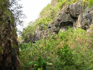 St-Paul - Ravine Bernica - Sentier vers le Bassin Pigeon