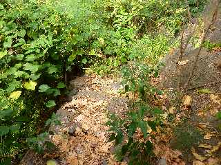 St-Paul - Ravine Bernica - Sentier vers le Bassin Pigeon