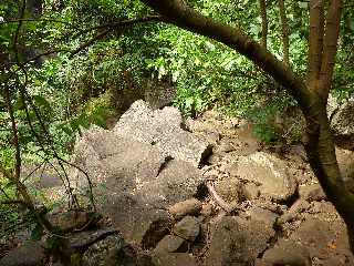 St-Paul - Ravine Bernica - Sentier vers le Bassin Pigeon