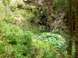 St-Paul - Ravine Bernica -  Bassin Pigeon