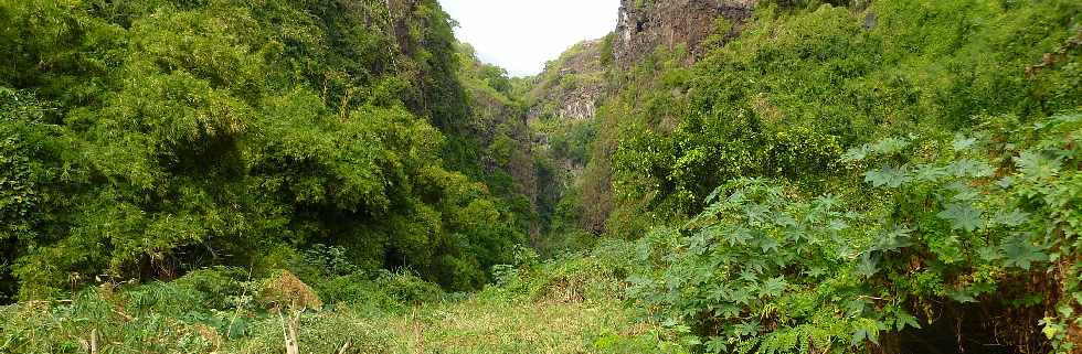 St-Paul - Grande Fontaine - Ravine Bernica -