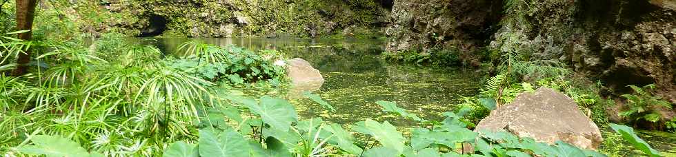 St-Paul - Ravine Bernica -  Bassin Pigeon