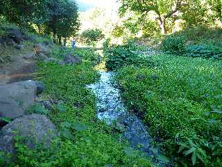 St-Paul - Ravine Divon