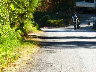 Nettoyage du Tour des Roches