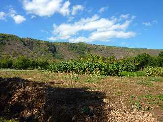 St-Paul - Face au Chemin Dboul