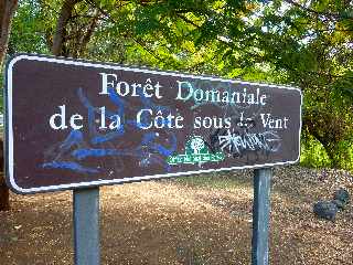 St-Paul - Fort domaniale de la Cte sous le vent