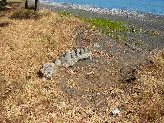 St-Paul - Parcours de sant du bord de mer