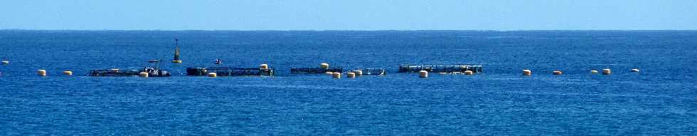 Aquaculture en baie de St-Paul