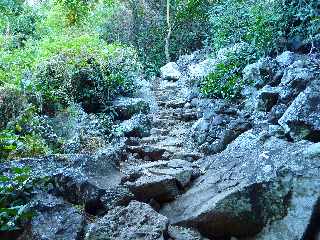 Sentier du Bassin Vital - St-Paul