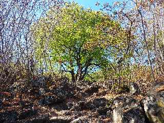 Sentier du Bassin Vital - St-Paul