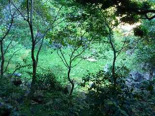 Sentier du Bassin Vital - St-Paul