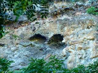 Sentier du Bassin Vital - St-Paul