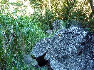 Sentier du Bassin Vital - St-Paul - Ravine Bassin