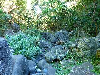 Sentier du Bassin Vital - St-Paul - Ravine Bassin