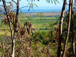 Boucle retour du Bassin Vital - St-Paul - Vue sur l'tang