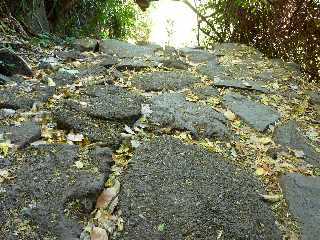 Boucle retour du Bassin Vital - St-Paul - Pavages