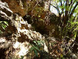 Boucle retour du Bassin Vital - St-Paul - Ravine Bassin