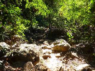 Boucle retour du Bassin Vital - St-Paul - Ravine Bassin