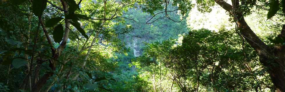 Sentier du Bassin Vital - St-Paul