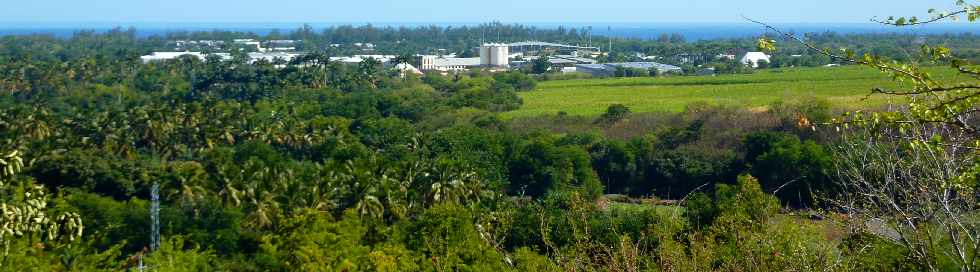 Boucle retour du Bassin Vital - St-Paul - Vue sur Savanna