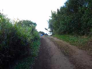 St-Joseph - Chemin vers la plage du Petit Sable - Ti Sab