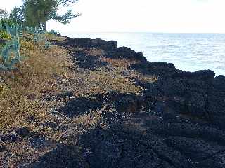 St-Joseph - Littoral vers la Pointe de la Cayenne -