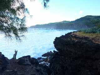 St-Joseph - Littoral vers la Pointe de la Cayenne -