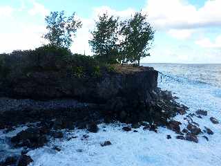 St-Joseph - Littoral vers la Pointe de la Cayenne -