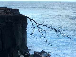 St-Joseph - Littoral vers la Pointe de la Cayenne -