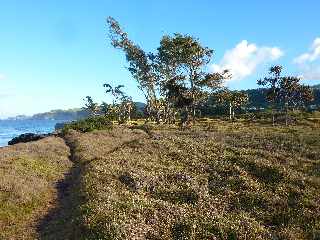 St-Joseph - Littoral vers la Pointe de la Cayenne -