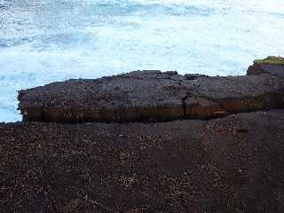 St-Joseph - Littoral vers la Pointe de la Cayenne -