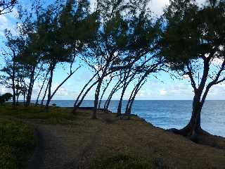 St-Joseph - Littoral vers la Pointe de la Cayenne -