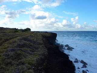 St-Joseph - Littoral vers la Pointe de la Cayenne -