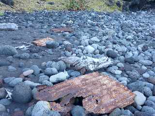 St-Joseph - Plage de galets - Vers le Cap Chevron - Dtritus