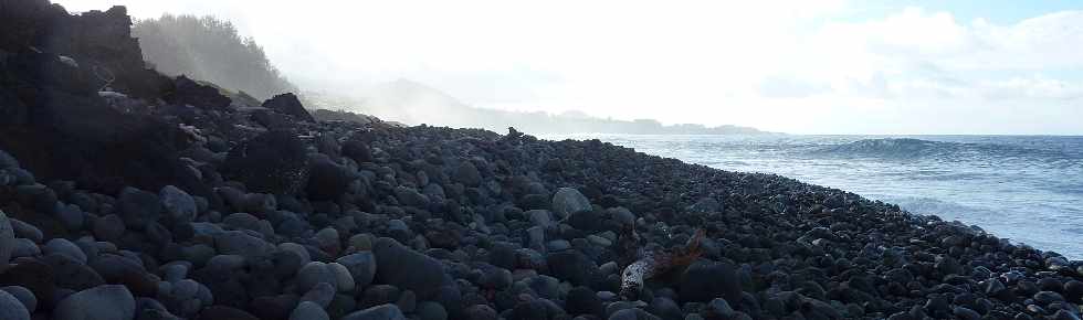 St-Joseph - Plage de galets - Vers le Cap Chevron