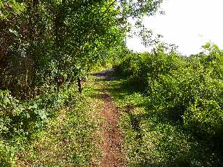 St-Joseph - Sentier en bord de mer - Piton Babet