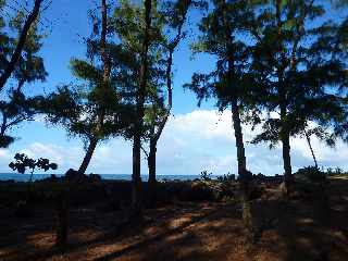 St-Joseph - Sentier en bord de mer - Piton Babet