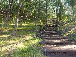 St-Joseph - Monte au Piton Babet-Saladin