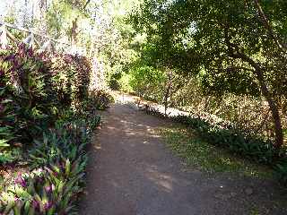 St-Joseph - Descente du Piton Babet-Saladin