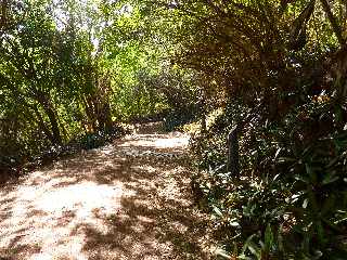 St-Joseph - Descente du Piton Babet-Saladin