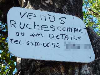 St-Joseph - Ruches  vendre