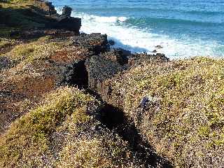 St-Joseph - Sentier de la Plage du Ti Sable au Butor-