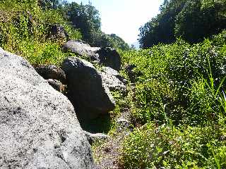 St-Joseph -Sentier vers  le lit de la Rivire des Remparts -