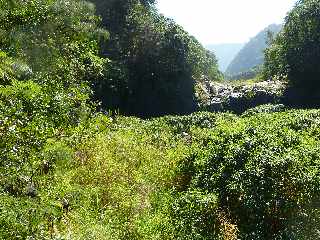 St-Joseph -Sentier dans  le lit de la Rivire des Remparts