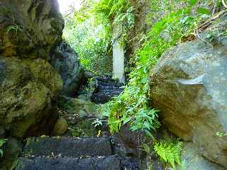 St-Joseph - Rivire des Remparts - Sentier en rive gauche