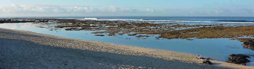 Août 2012 - Lagon de St-Pierre à marée basse - Coraux à découvert