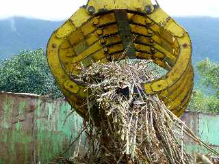 Centre de rception des cannes du Baril - St-Philippe - Griffes - Chargement d'un cachalot