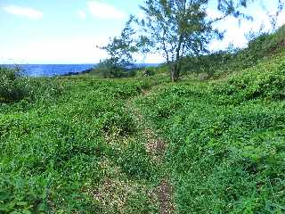 St-Philippe - Baril - Sentier littoral vers le Cap Mchant